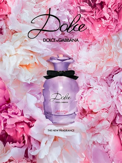 perfume dolce gabbana peony|dolce peony recensioni.